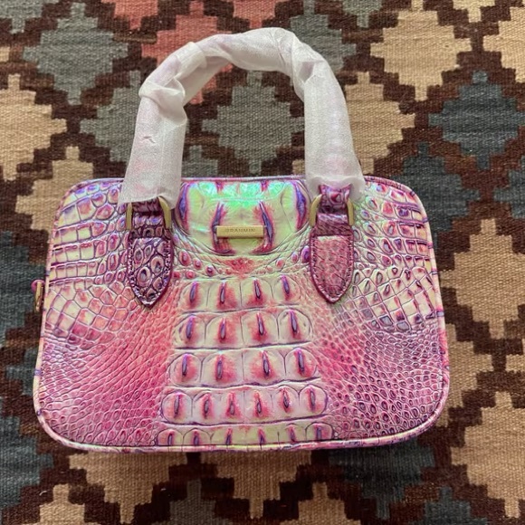 Meet the Posher Other - Brahmin bag